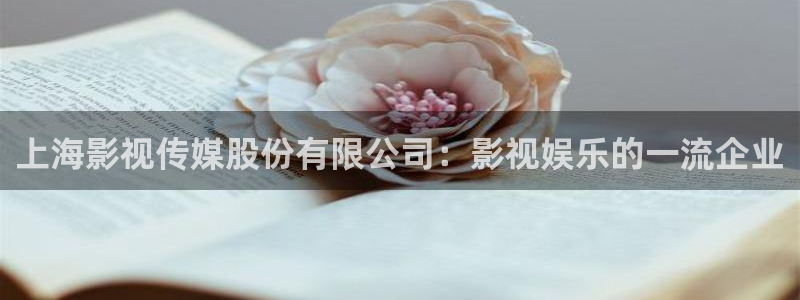 91嫩草影院在线观看