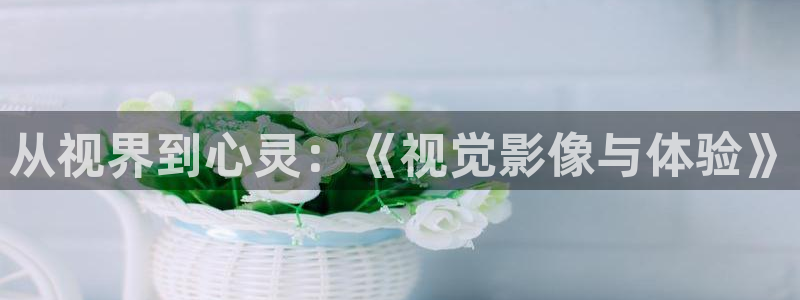 92久久偷偷做嫩草影院